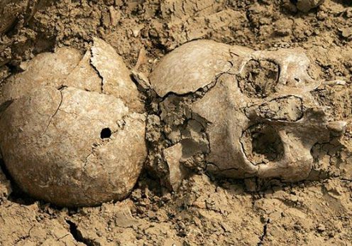 un-craniu-de-40-000-de-ani-perforat-de-un-glonte
