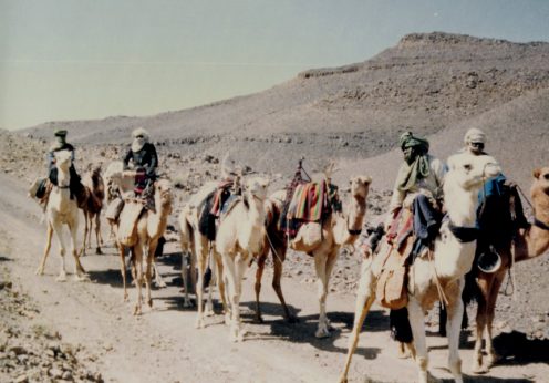Caravane_de_Méharis_dans_le_Hoggar