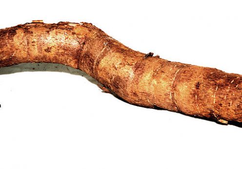 Manioc_reu