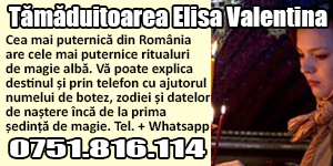 Banner 300x150 Tamaduitoarea Elisa Valentina